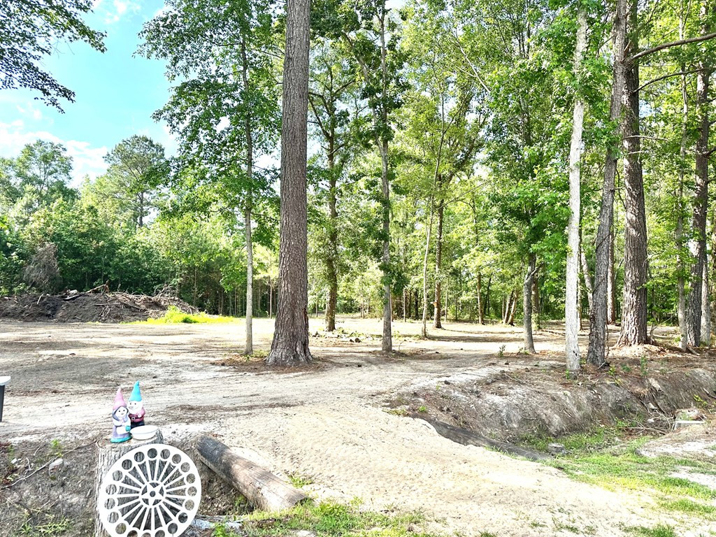 3151 Walker Gamble Road New Zion, SC 29111 - Photo 22 of 62 Gallery Image 22