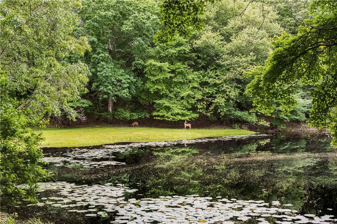 30 Pojac Point Road North Kingstown, RI 02852 - Photo 9 of 29 View across lake