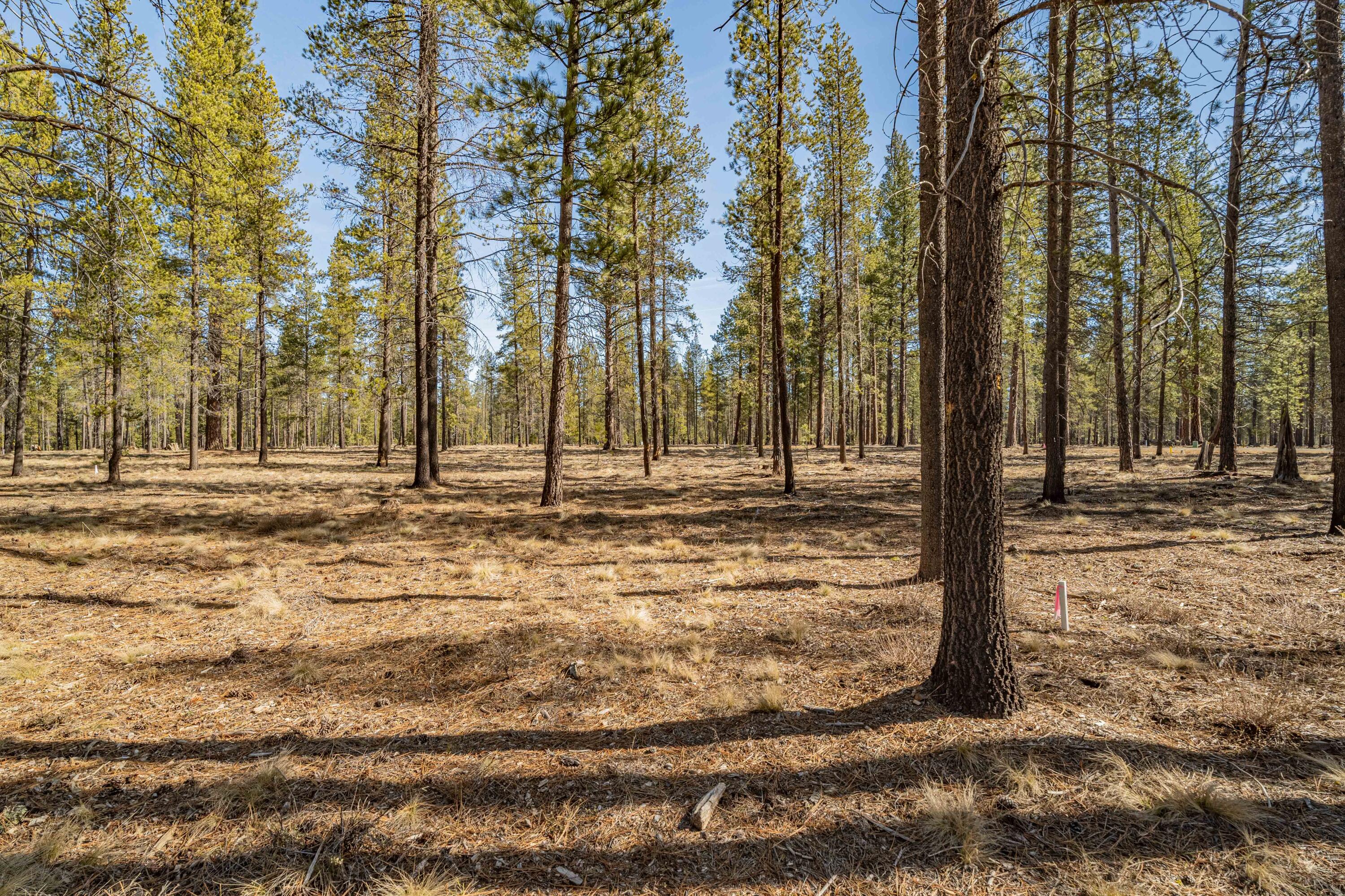Preservation Loop Bend, Unit 463 Bend, OR 97707 - Photo 5 of 20 DSC07467-HDR