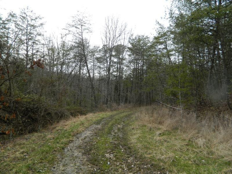 1 Shoemaker Ridge Zoe, KY 41397 - Photo 4 of 33 Photo 4