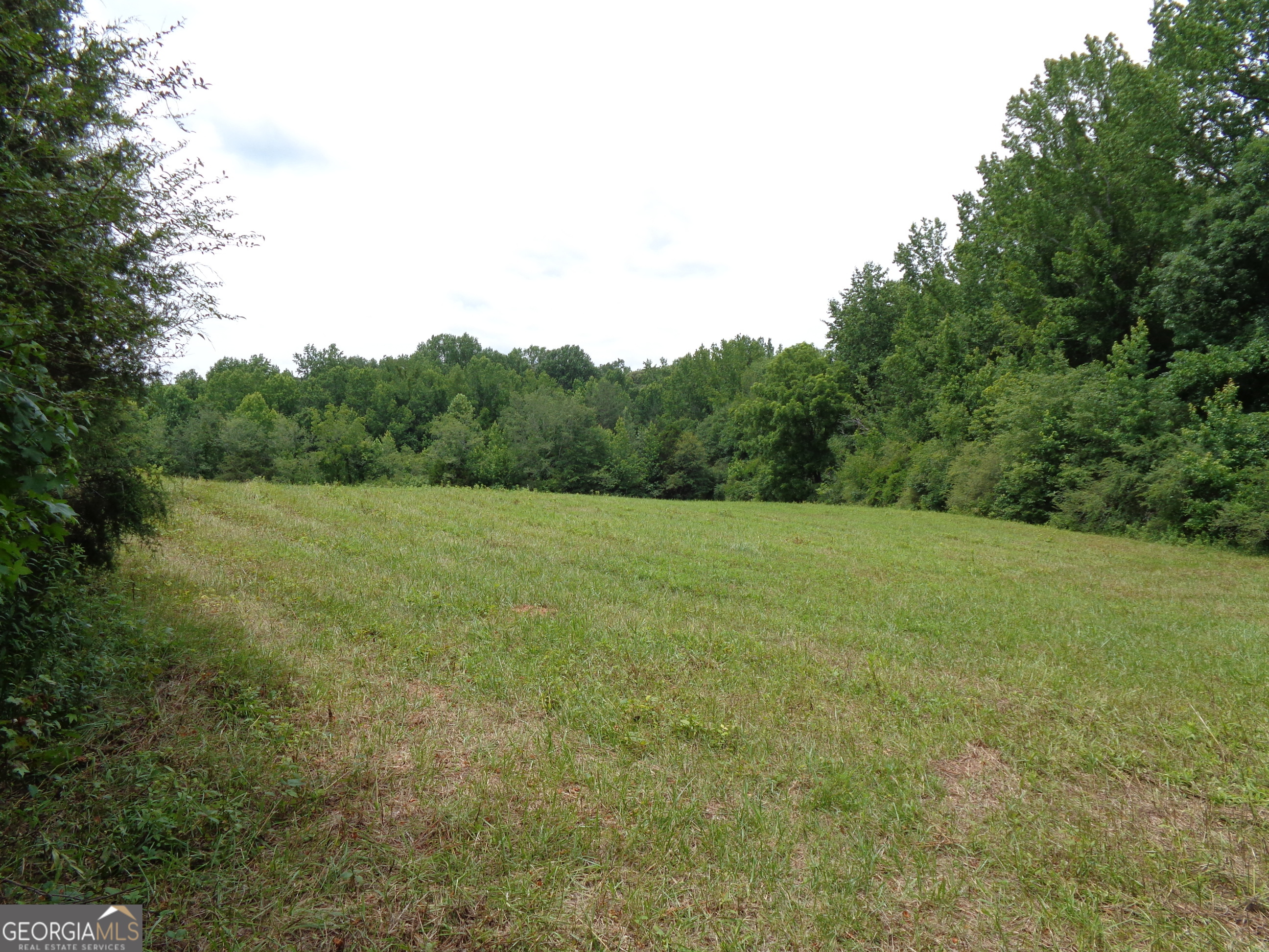 2411 Kesler Road Carnesville, GA 30521 - Photo 55 of 61