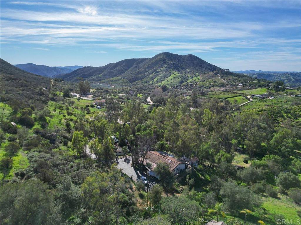 a view of a lush green hillside and houses
