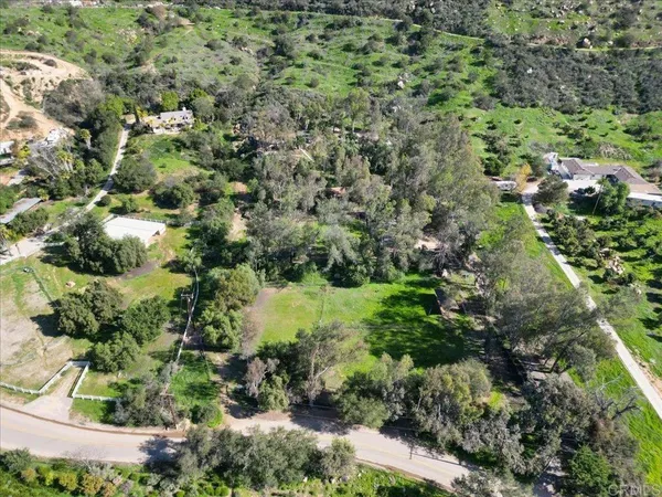 a view of a garden with a tree