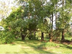 1990 Turpentine Road Mims, FL 32754 - Photo 2 of 7 Additional Photo