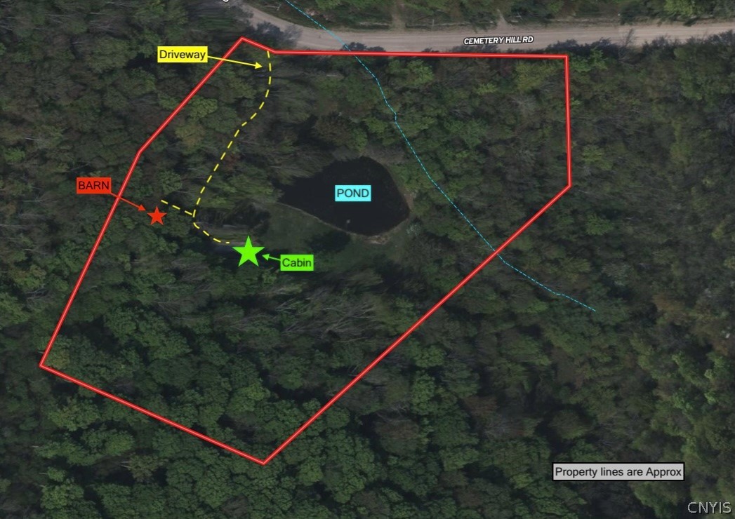 2175 Cemetery Hill Road Franklinville, NY 14737 - Photo 2 of 49