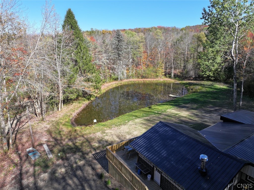 2175 Cemetery Hill Road Franklinville, NY 14737 - Photo 36 of 49