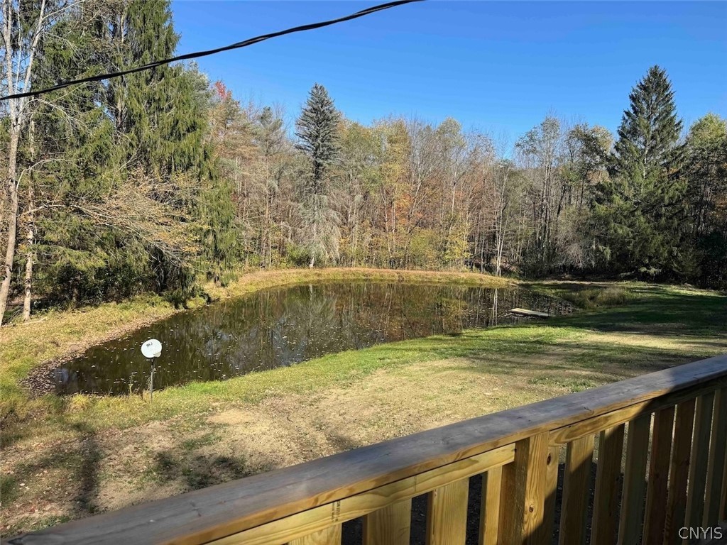 2175 Cemetery Hill Road Franklinville, NY 14737 - Photo 37 of 49