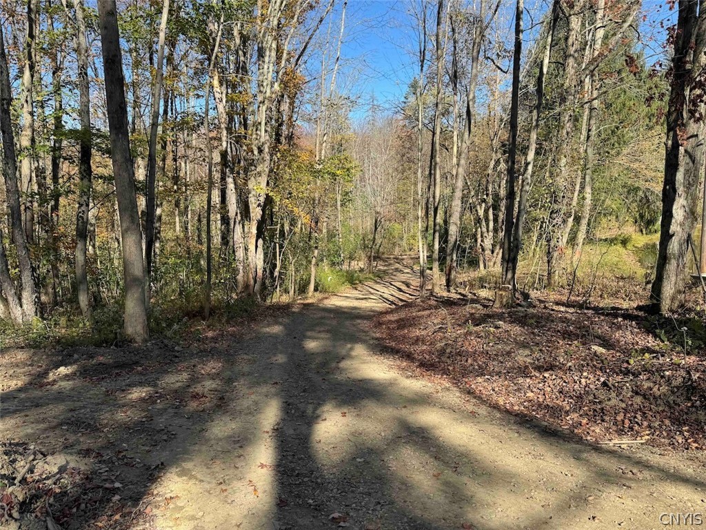 2175 Cemetery Hill Road Franklinville, NY 14737 - Photo 38 of 49