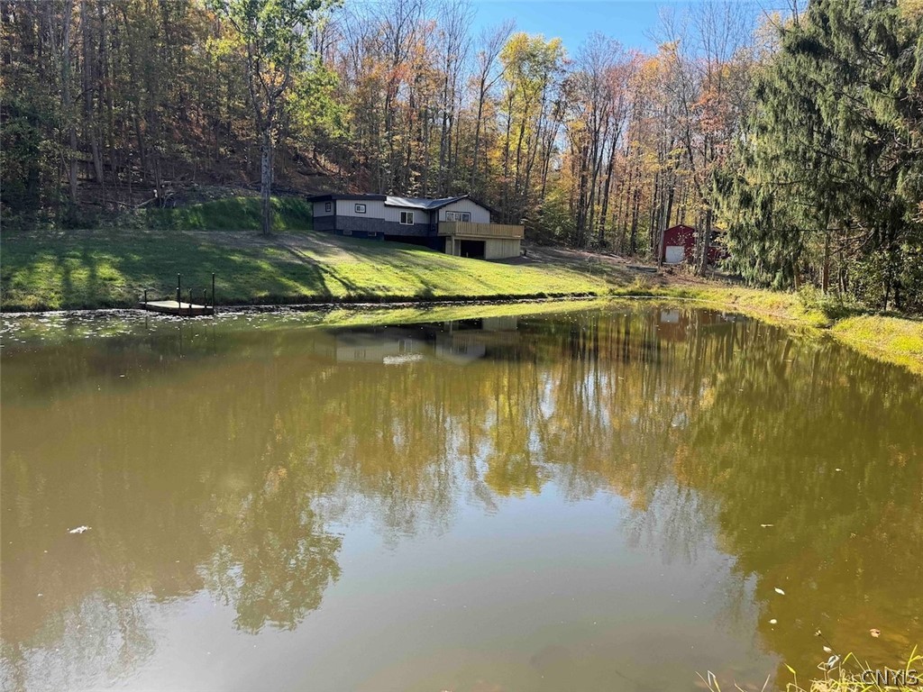2175 Cemetery Hill Road Franklinville, NY 14737 - Photo 39 of 49