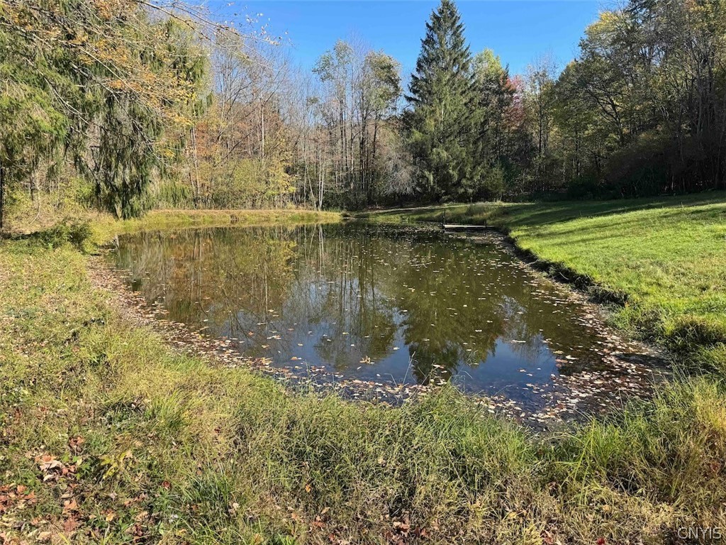 2175 Cemetery Hill Road Franklinville, NY 14737 - Photo 41 of 49