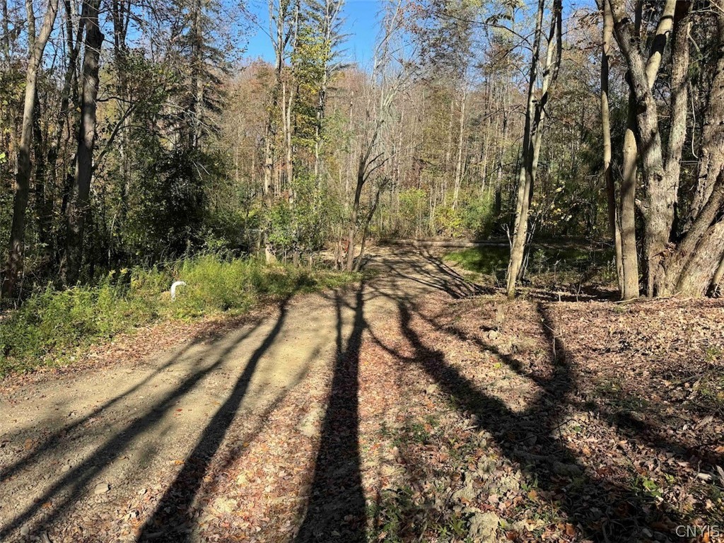 2175 Cemetery Hill Road Franklinville, NY 14737 - Photo 45 of 49