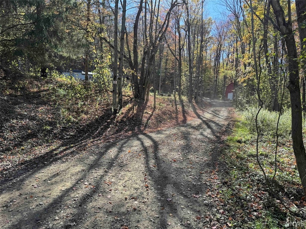 2175 Cemetery Hill Road Franklinville, NY 14737 - Photo 46 of 49