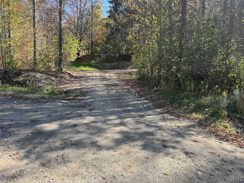 2175 Cemetery Hill Road Franklinville, NY 14737 - Photo 47 of 49