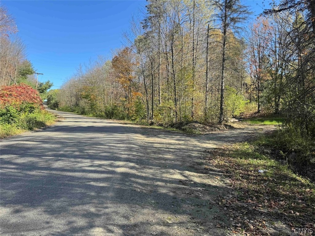 2175 Cemetery Hill Road Franklinville, NY 14737 - Photo 48 of 49