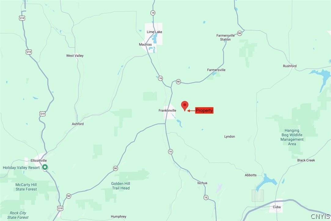 2175 Cemetery Hill Road Franklinville, NY 14737 - Photo 49 of 49