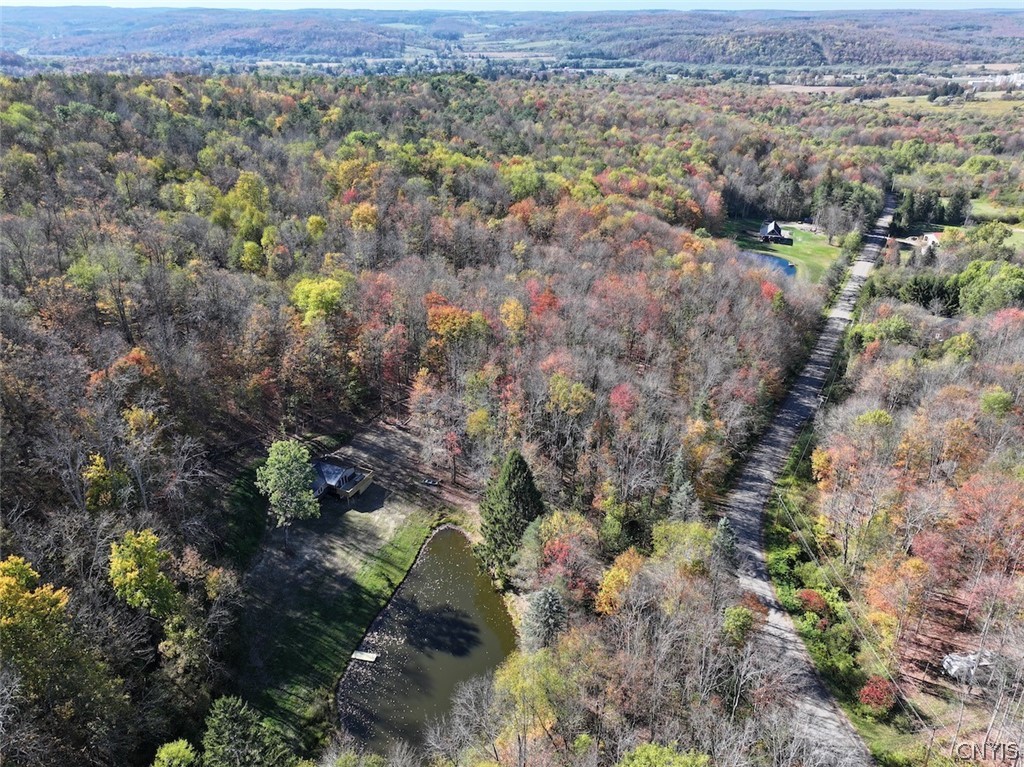 2175 Cemetery Hill Road Franklinville, NY 14737 - Photo 7 of 49