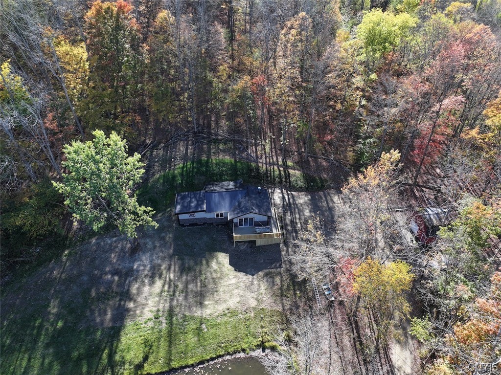 2175 Cemetery Hill Road Franklinville, NY 14737 - Photo 8 of 49