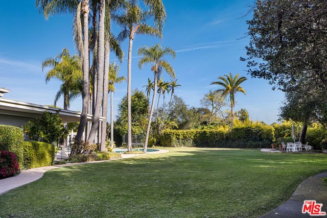 a view of a yard with a palm tree