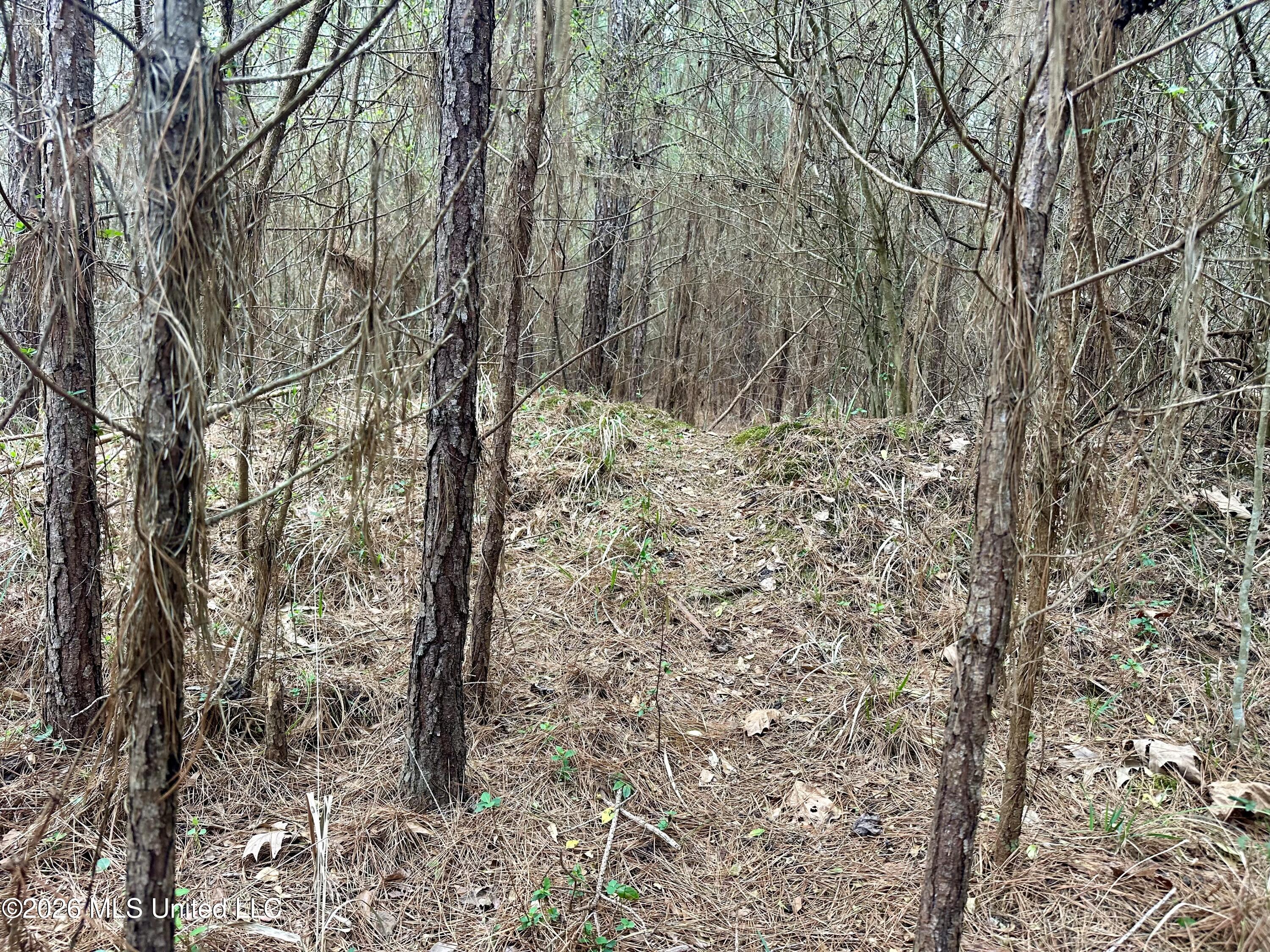 Northwest Bouie Mill Road Northwest Brookhaven, MS 39601 - Photo 2 of 9 Photo Mar 04 2026, 9 43 40 AM