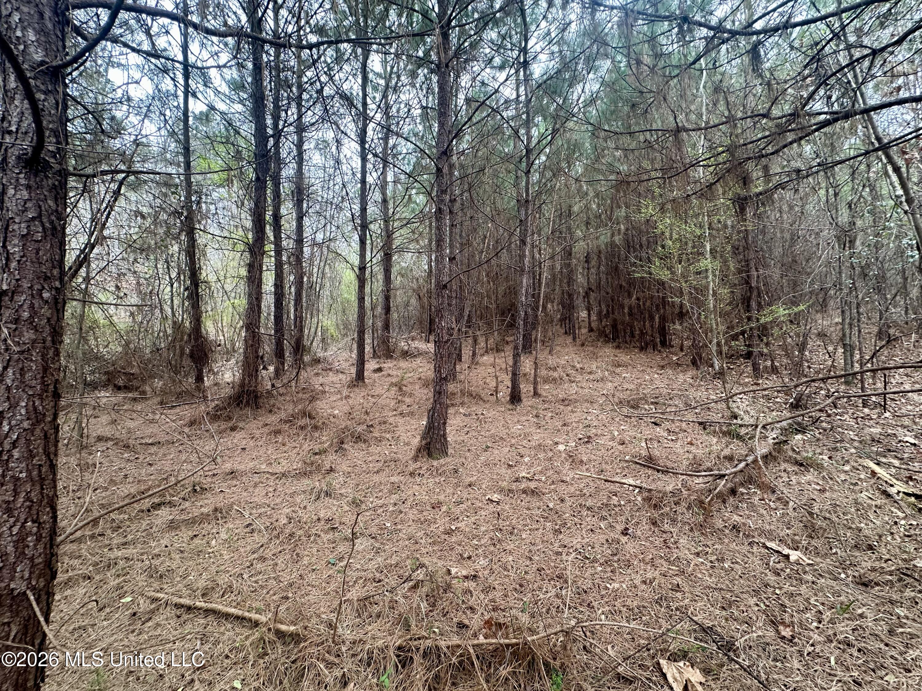 Northwest Bouie Mill Road Northwest Brookhaven, MS 39601 - Photo 5 of 9 Photo Mar 04 2026, 9 47 23 AM