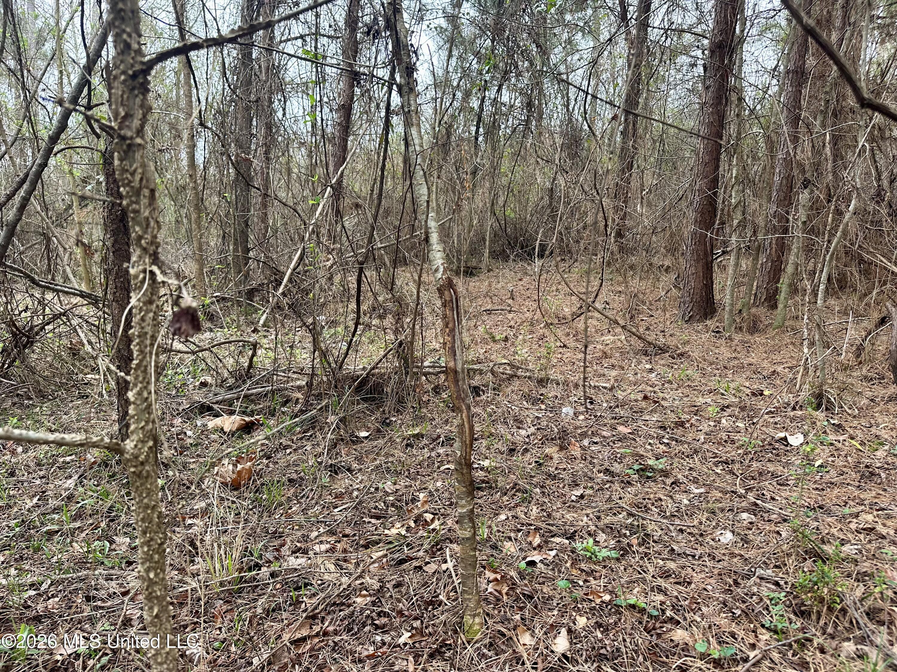 Northwest Bouie Mill Road Northwest Brookhaven, MS 39601 - Photo 6 of 9 Photo Mar 04 2026, 9 47 38 AM
