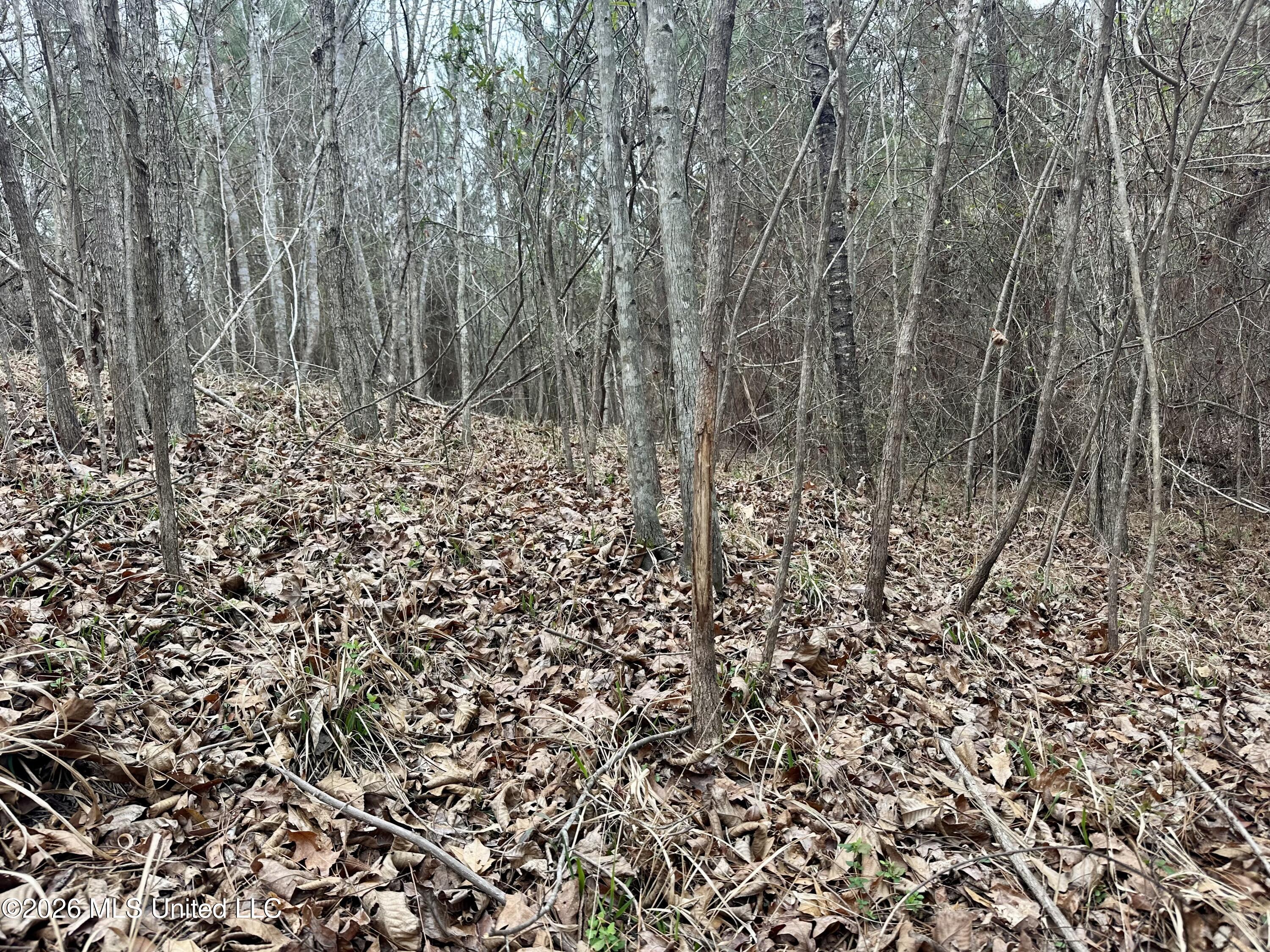 Northwest Bouie Mill Road Northwest Brookhaven, MS 39601 - Photo 7 of 9 Photo Mar 04 2026, 9 56 10 AM