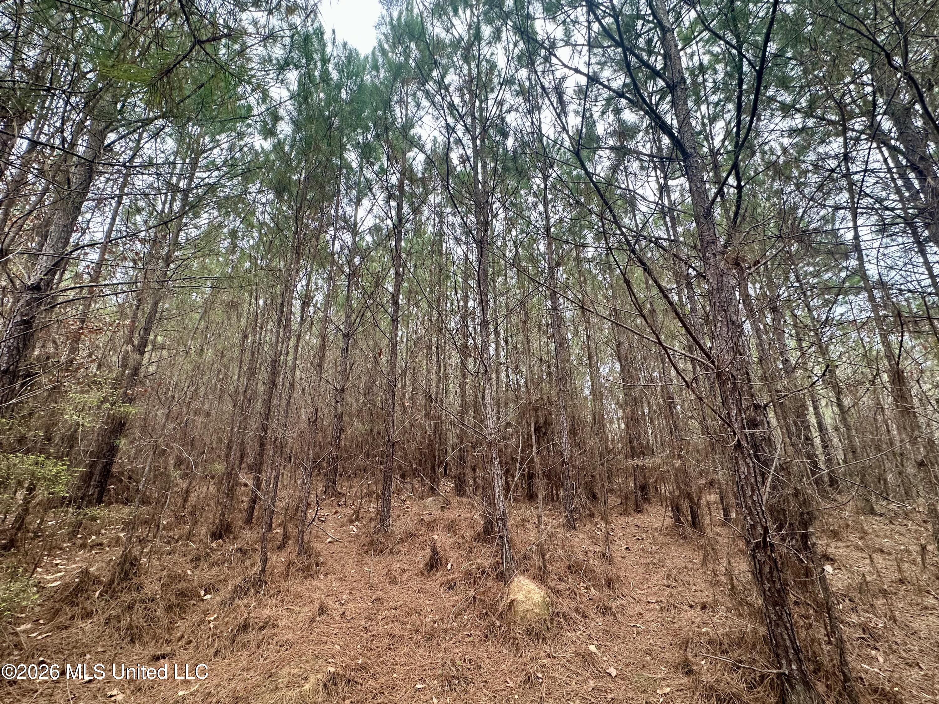 Northwest Bouie Mill Road Northwest Brookhaven, MS 39601 - Photo 8 of 9 Photo Mar 04 2026, 9 46 27 AM