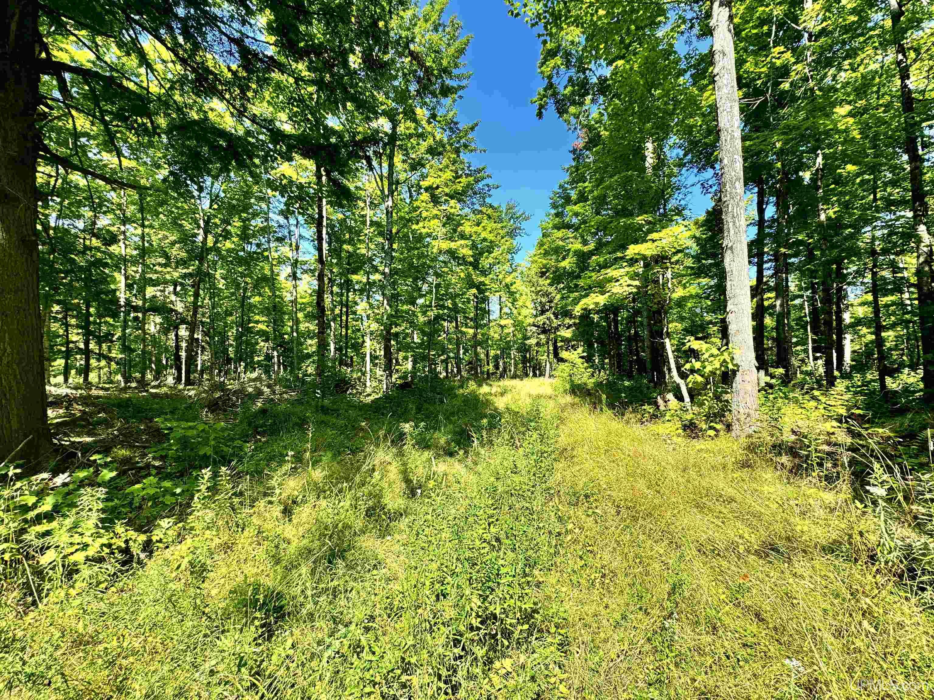 23867 Huron Road Skanee, MI 49962 - Photo 19 of 33 Gallery Image 19