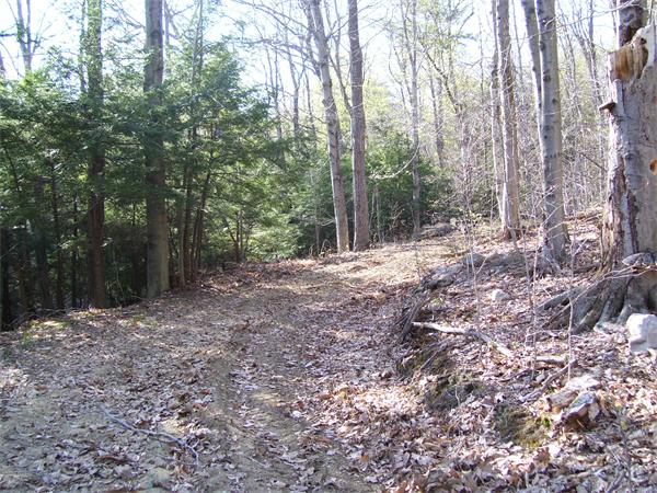 Lot 18 Johnson Hill Road Chester, MA 01011 - Photo 2 of 7 Gallery Image 2