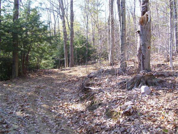 Lot 18 Johnson Hill Road Chester, MA 01011 - Photo 5 of 7 Gallery Image 5