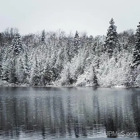 $98,000 | Tbd Laurel Lake Trail, Unit NO LEGAL INSURABLE ROAD A, Newberry, MI 49868