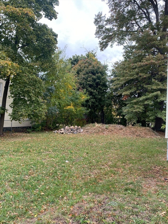 49-51 Callender Street Boston, MA 02124 - Photo 4 of 7 Gallery Image 4