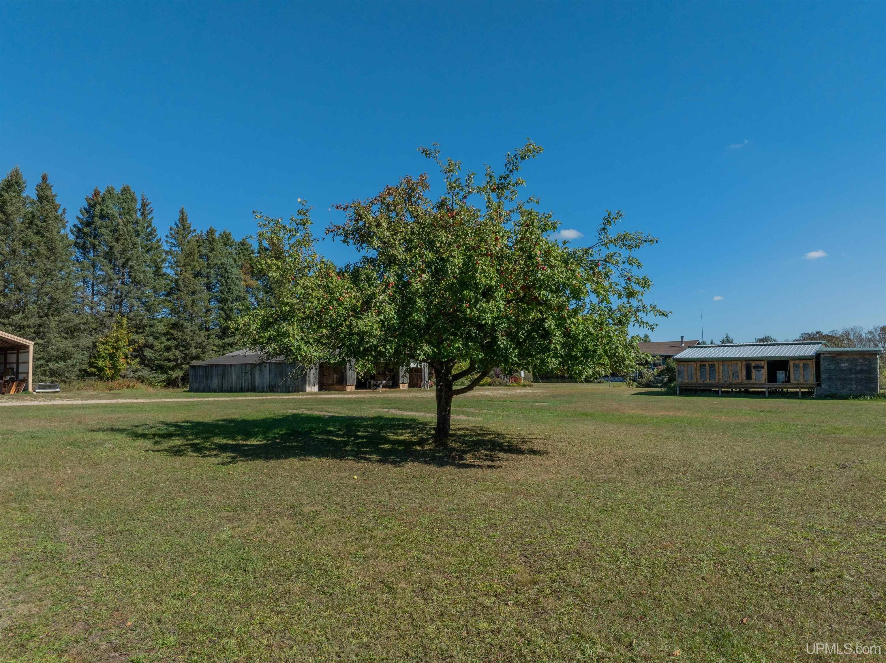 N4750 South Samuelson Road Chatham, MI 49816 - Photo 40 of 63 Gallery Image 40
