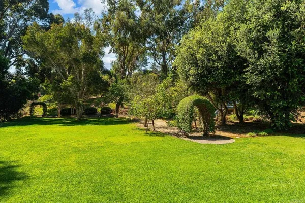 a view of a garden with a slide