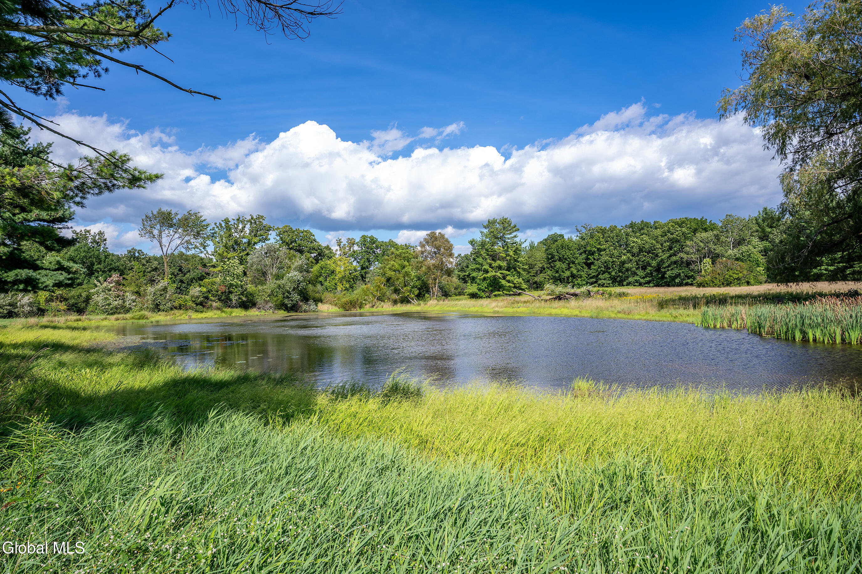 303 Terrace Road Rotterdam, NY 12306 - Photo 106 of 117 161-303-Terrace-Road-Rotterdam-NY-12306