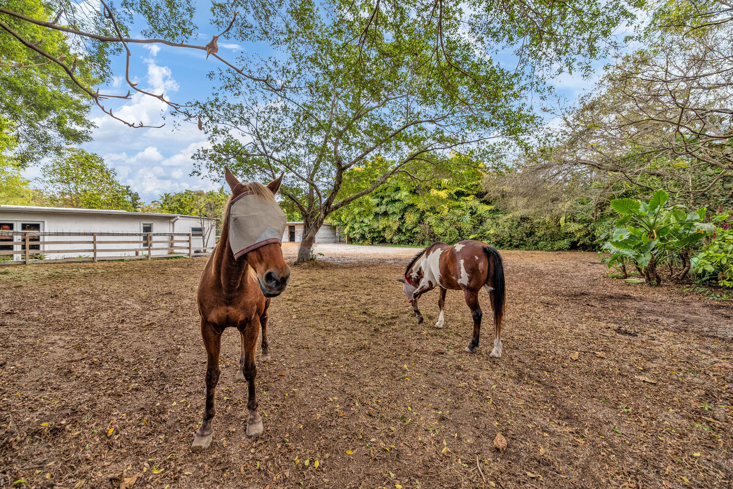 12301 Southwest 107th Avenue Miami, FL 33176 - Photo 2 of 68 12301 SW 107th Ave Miami FL-large-041-00