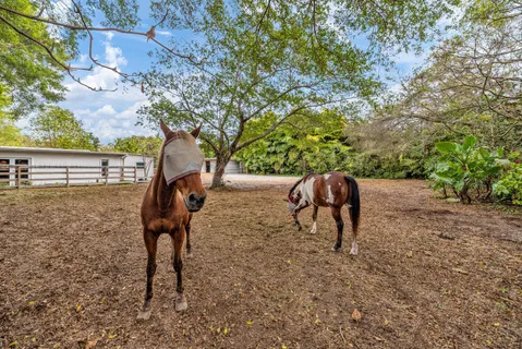 $2,695,000 | 12301 Southwest 107th Avenue, Miami, FL 33176