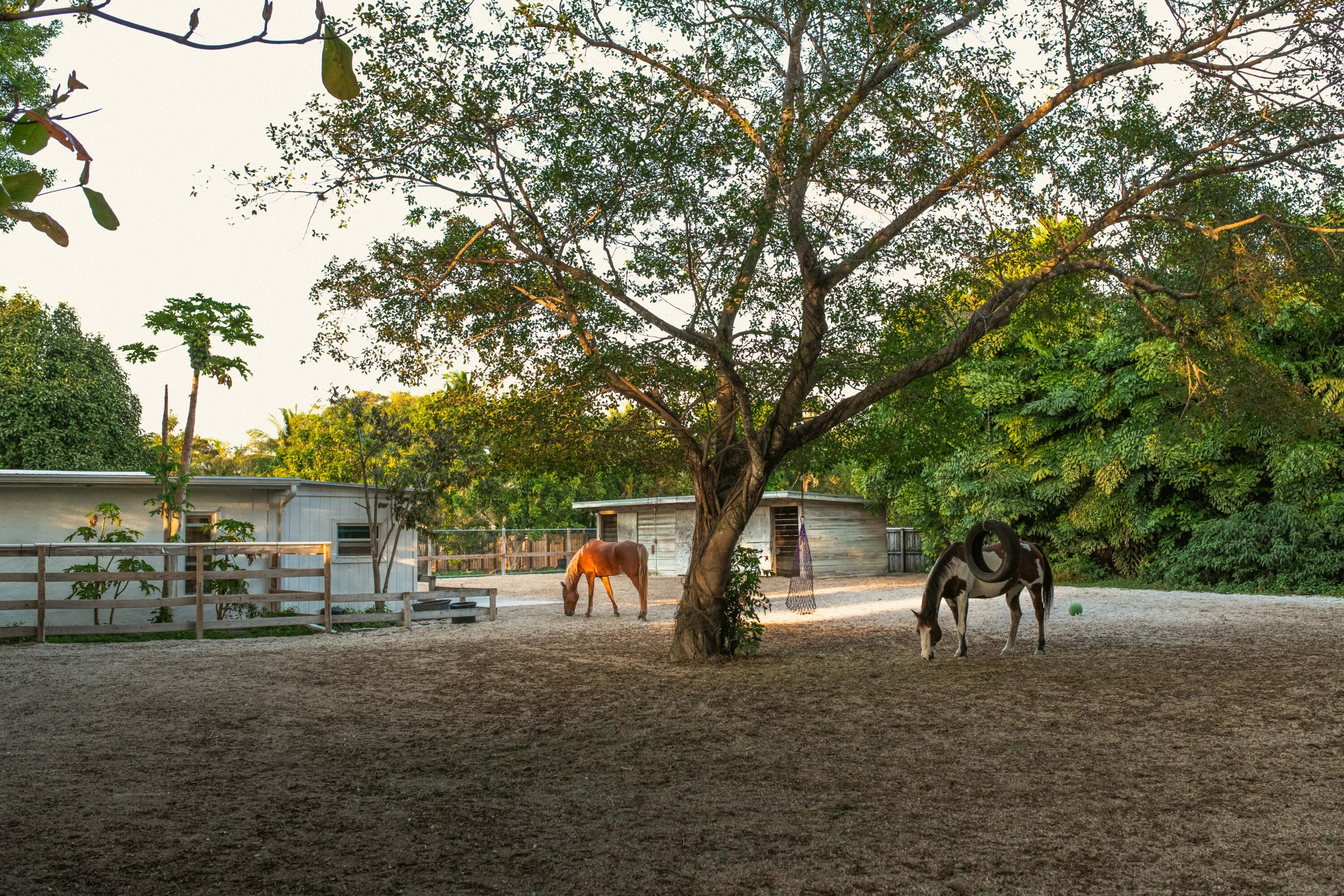 12301 Southwest 107th Avenue Miami, FL 33176 - Photo 50 of 68 MiamiResidenceRealEstatePhotography-74