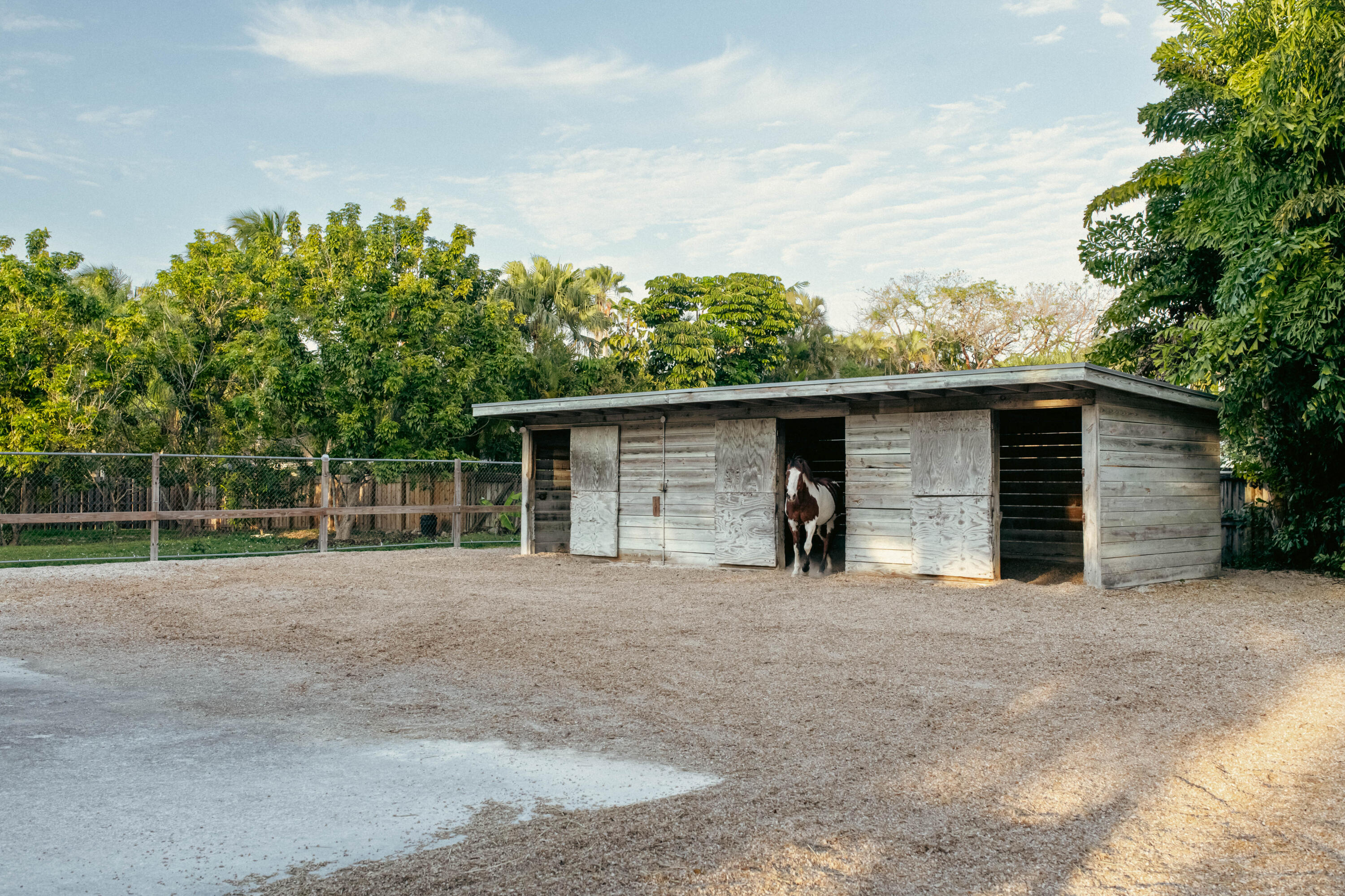 12301 Southwest 107th Avenue Miami, FL 33176 - Photo 52 of 68 MiamiResidenceRealEstatePhotography-61