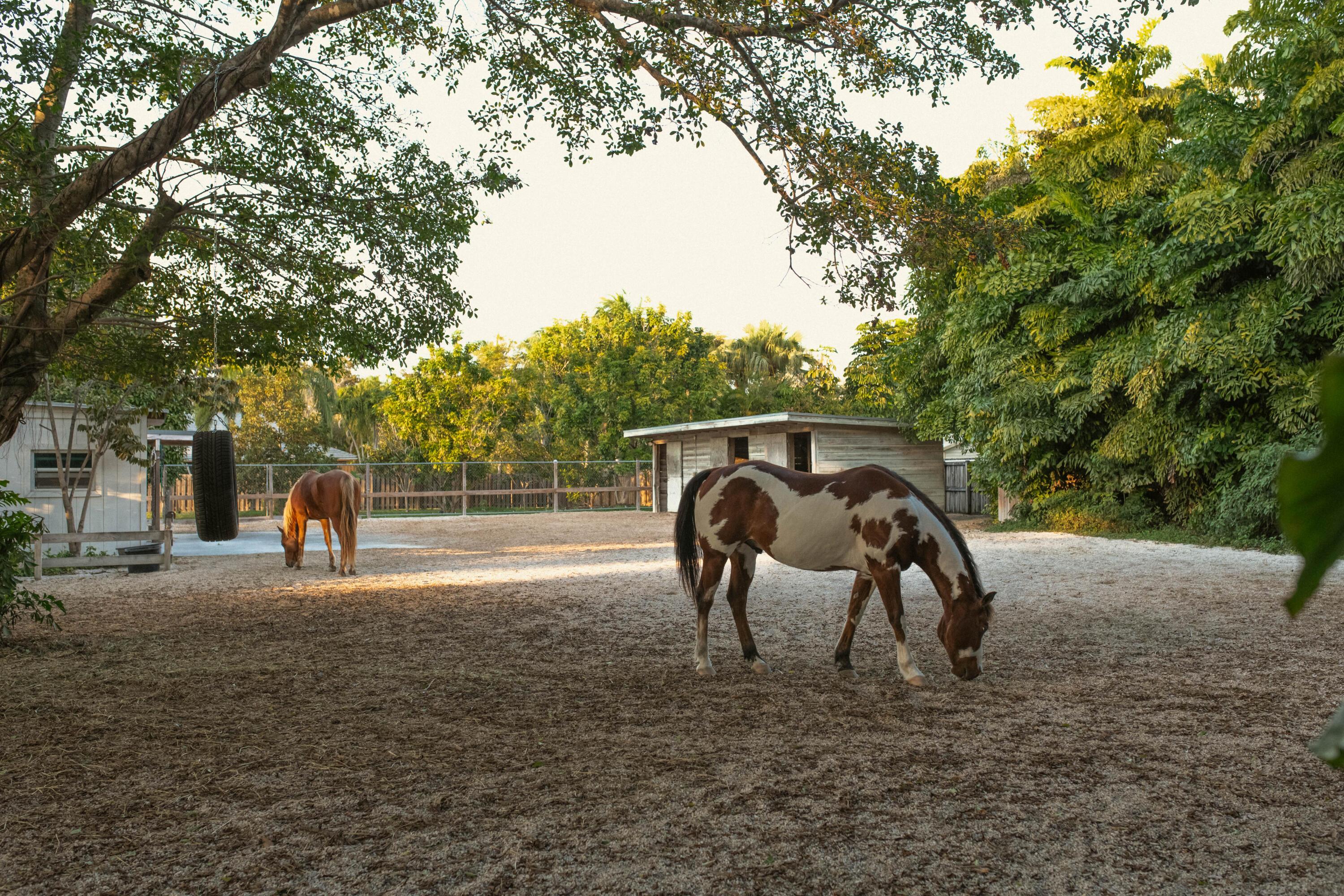 12301 Southwest 107th Avenue Miami, FL 33176 - Photo 6 of 68 MiamiResidenceRealEstatePhotography-70