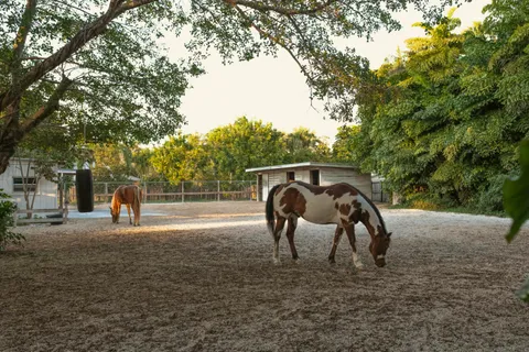 $2,695,000 | 12301 Southwest 107th Avenue, Miami, FL 33176