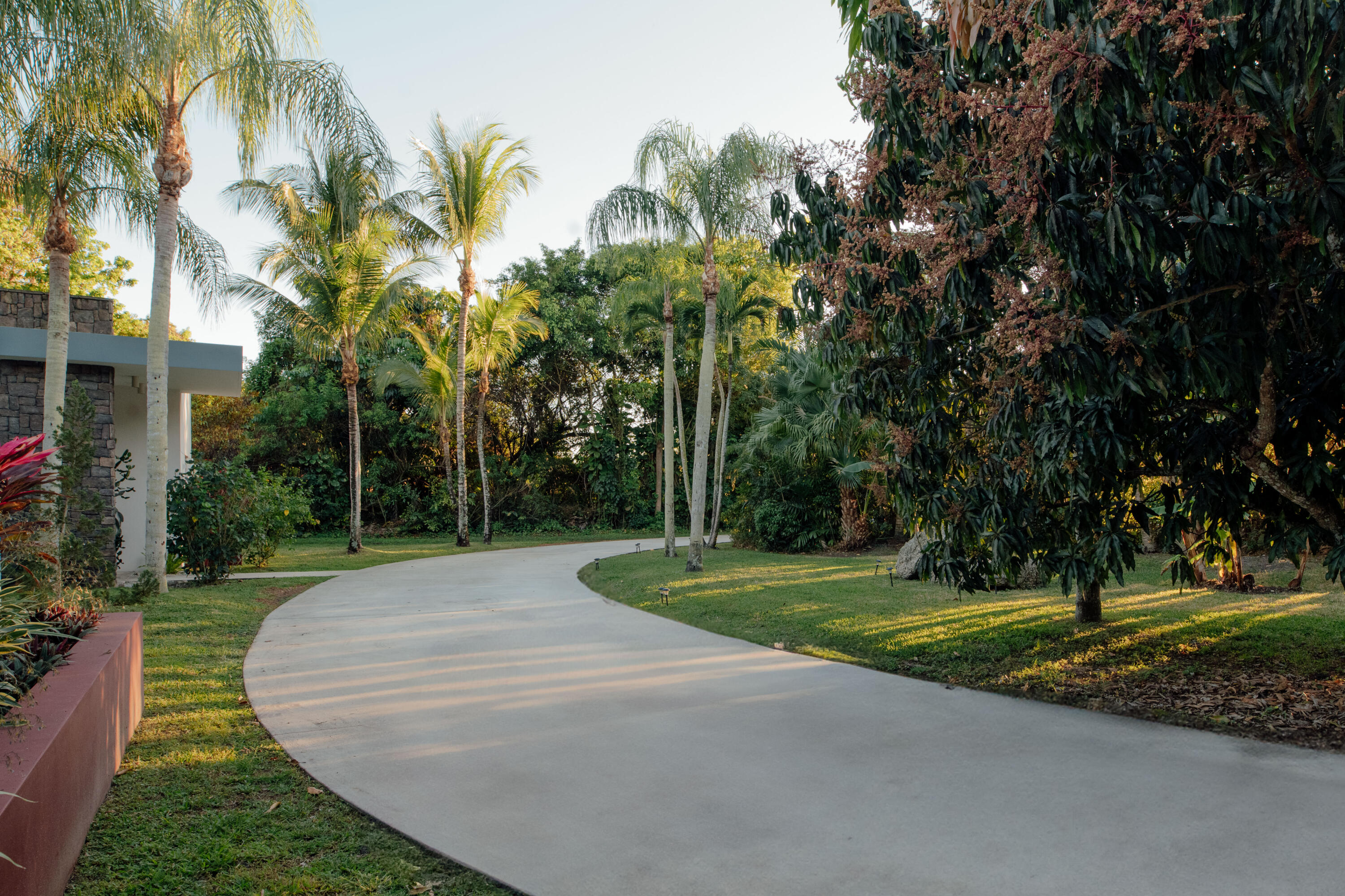 12301 Southwest 107th Avenue Miami, FL 33176 - Photo 9 of 58 a view of a park with palm trees