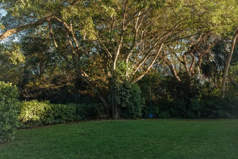 $2,695,000 | 12301 Southwest 107th Avenue, Miami, FL 33176