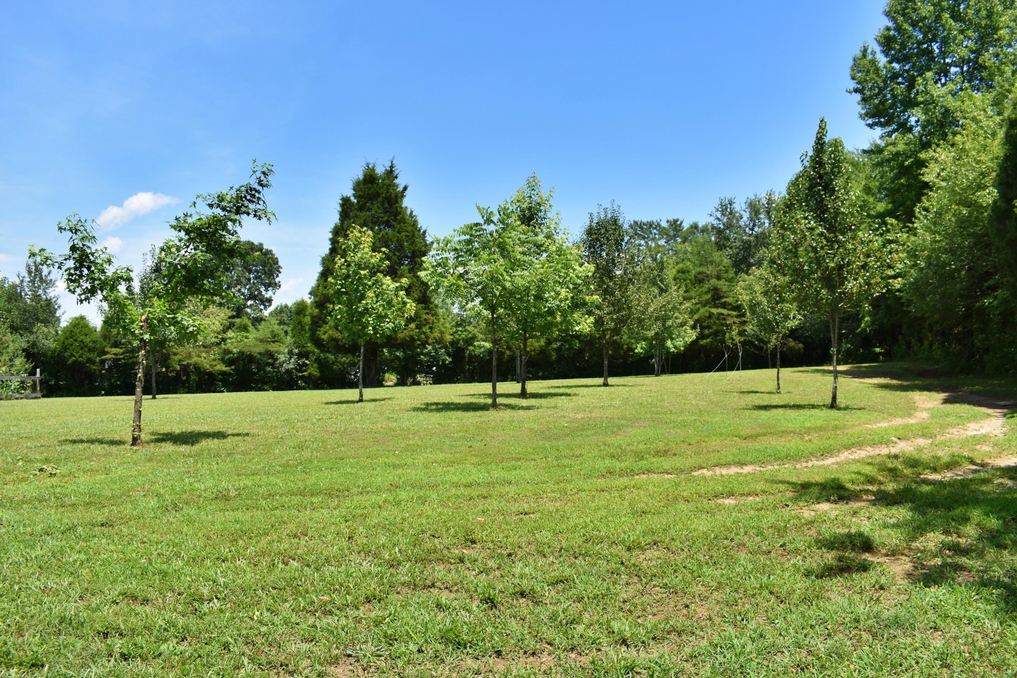 5858 Wolf Creek Road Spring City, TN 37381 - Photo 47 of 76