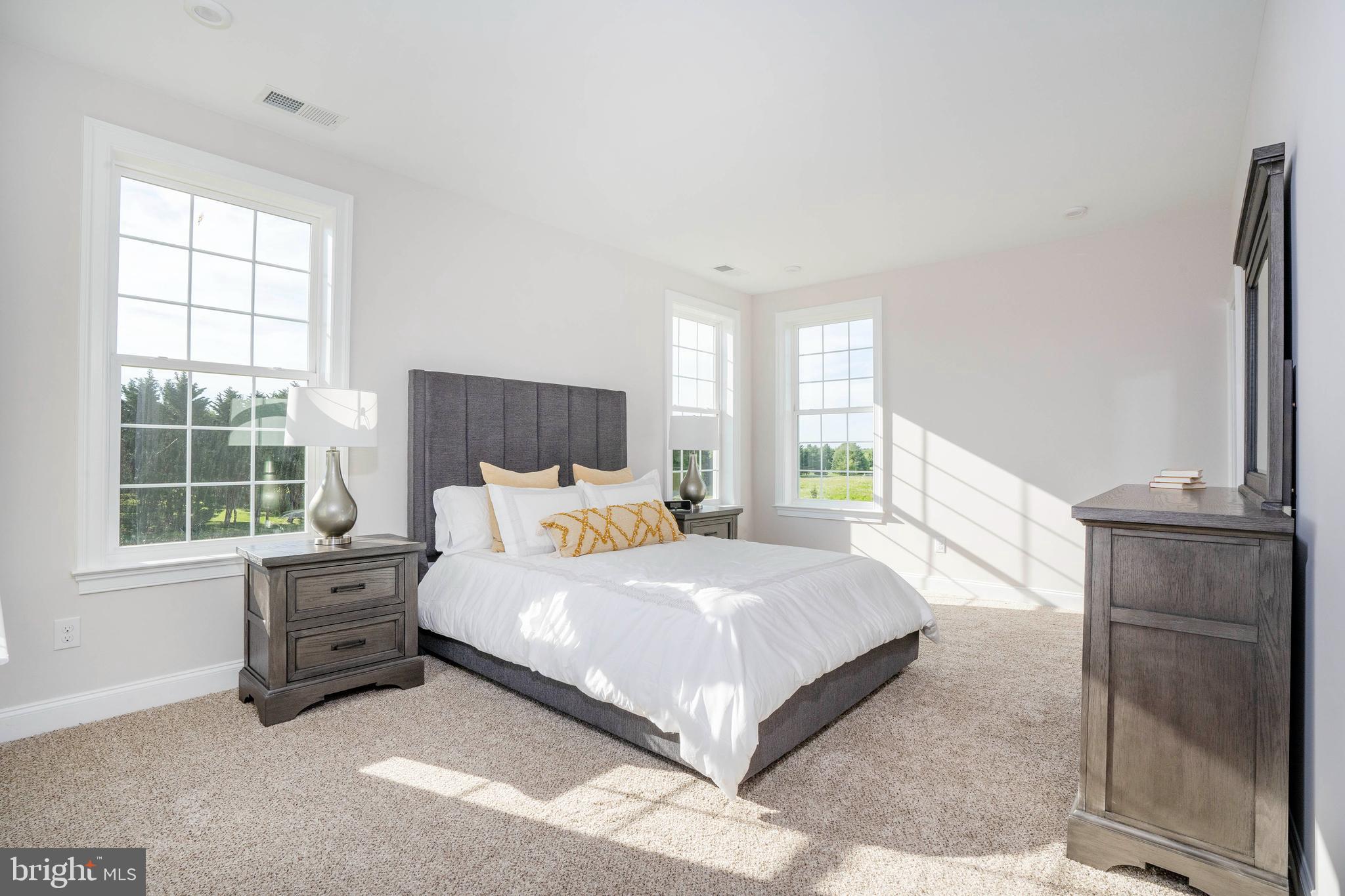 273 Abbotsford Road, Unit PLAZA Middletown, DE 19709 - Photo 51 of 68 Princess Suite with full bath and walk-in closet