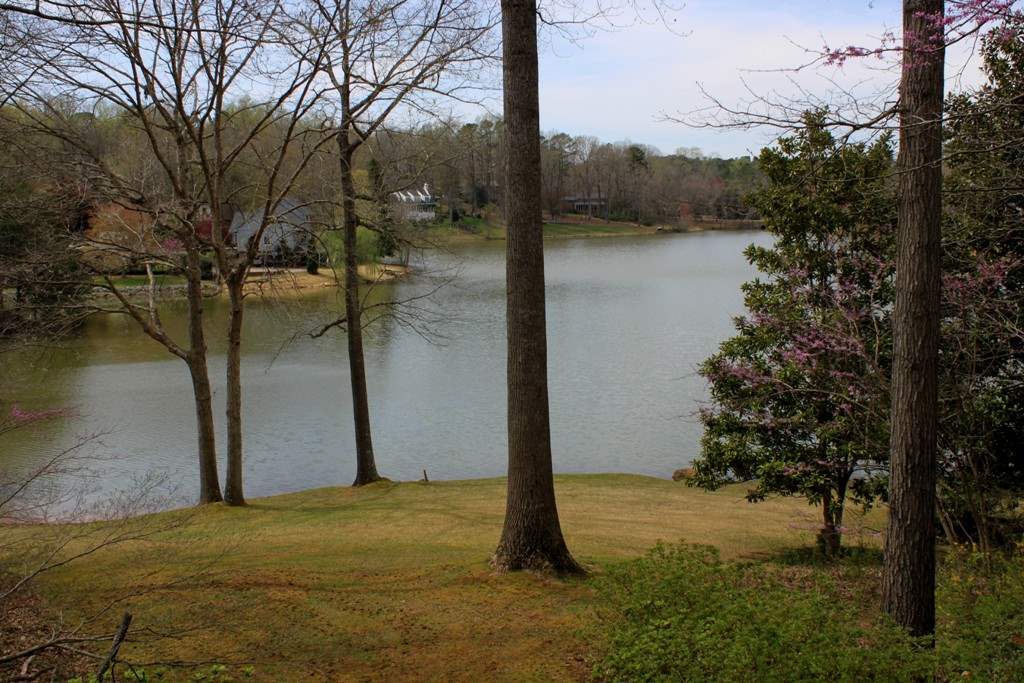 313 Round Ridge Road Spartanburg, SC 29302 - Photo 2 of 36 Gallery Image 2