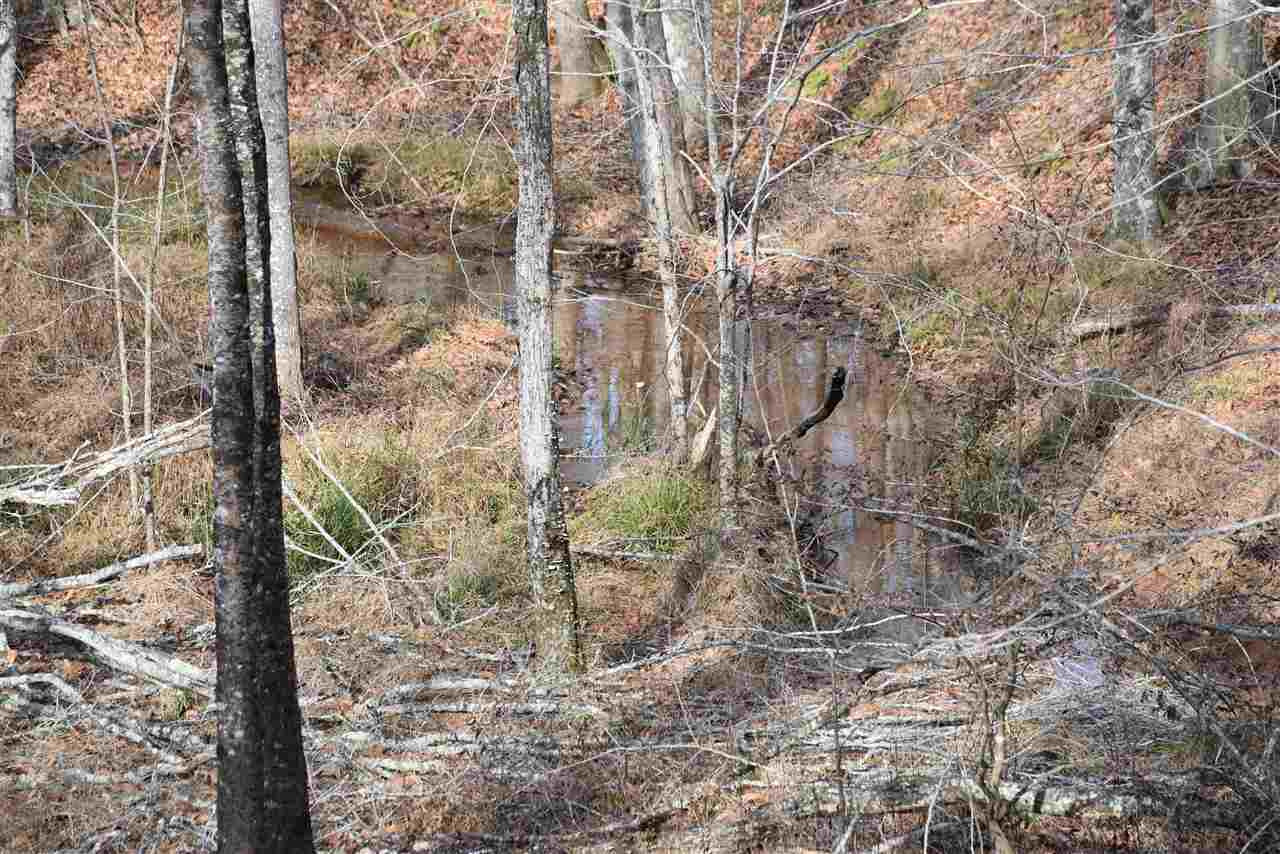 0 Cook Road Cedar Grove, TN 38321 - Photo 12 of 24 Photo 12