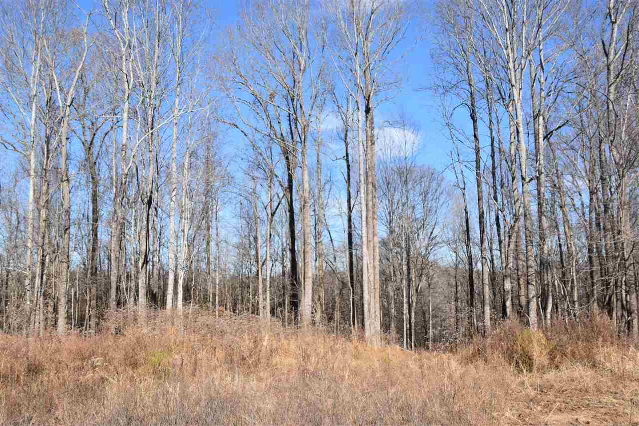 0 Cook Road Cedar Grove, TN 38321 - Photo 20 of 24 Photo 20