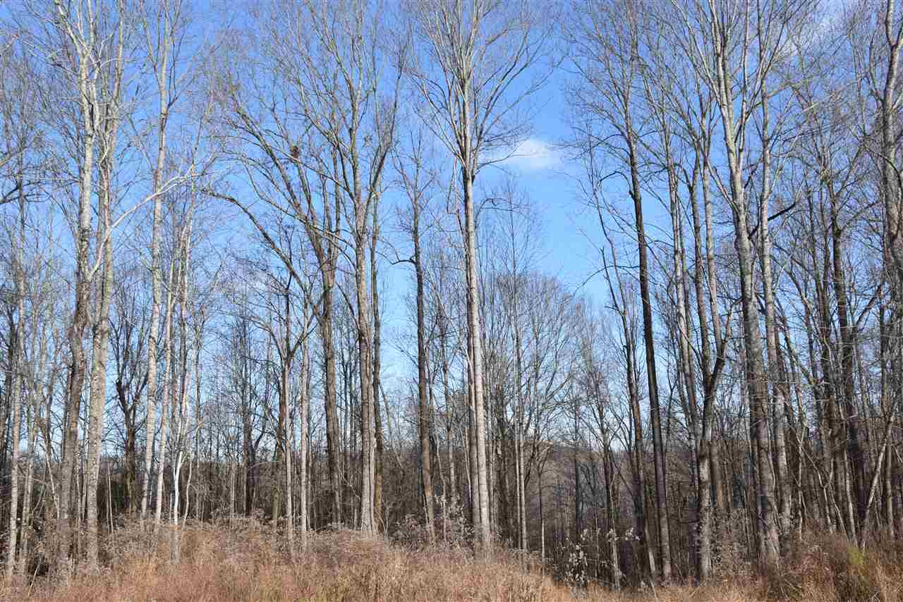 0 Cook Road Cedar Grove, TN 38321 - Photo 2 of 24 Photo 2