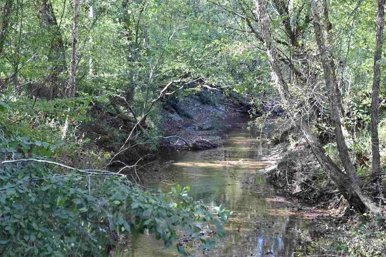 0 Cook Road Cedar Grove, TN 38321 - Photo 21 of 24 Photo 21